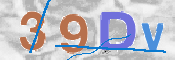 ověření